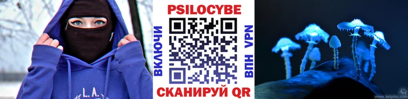 Псилоцибиновые грибы Psilocybe  Мезень 
